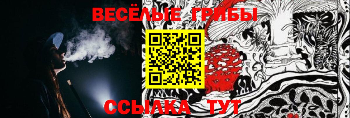 Хабаровск  Псилоцибиновые грибы прущие грибы  Галлюциногенные грибы MAGIC MUSHROOMS  Вход с VPN 